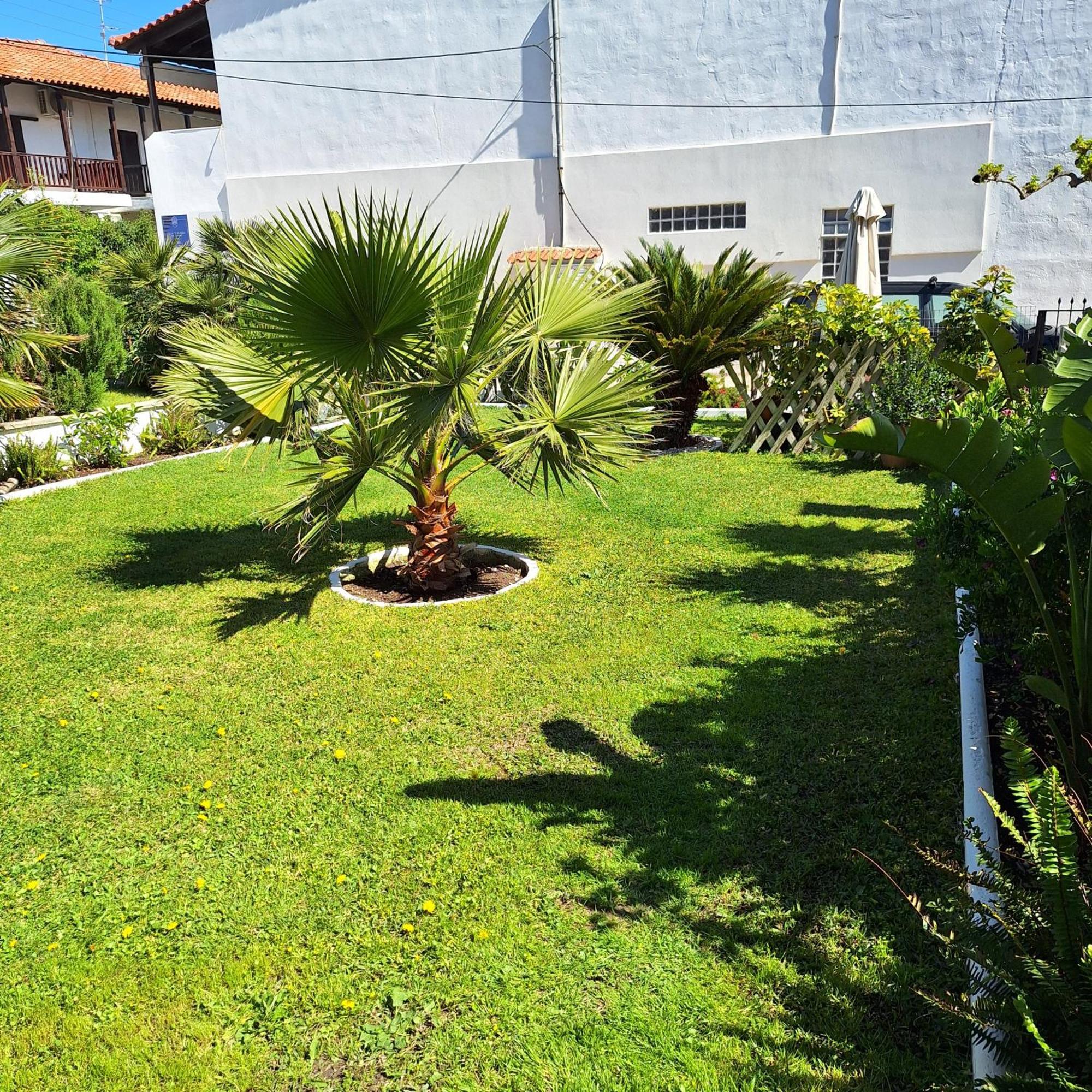 Villa Thalassa Apartments Пефкохори Экстерьер фото